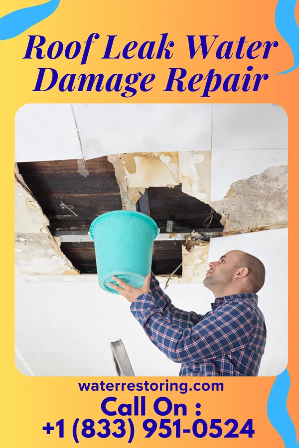 Roof Leak Water Damage Repair in Logan, IA